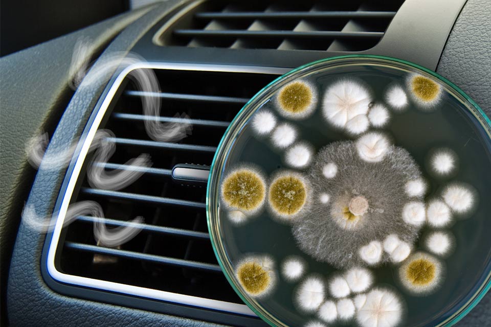 Aircondition bakterier, svampe og mikroorganismer